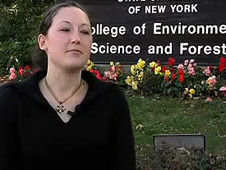 纽约州立大学环境科学与林业科学学院